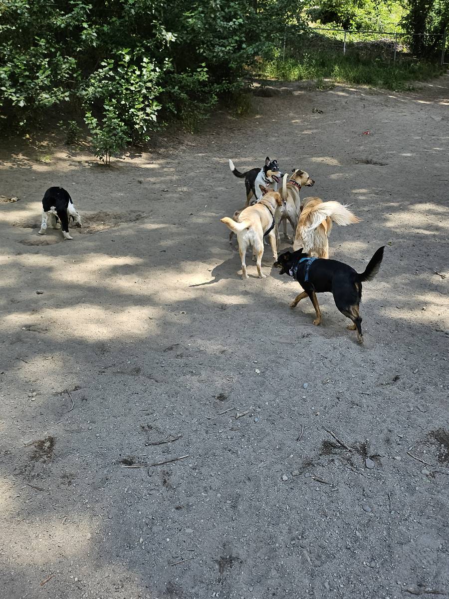 Blue Dog Pond, photo 2