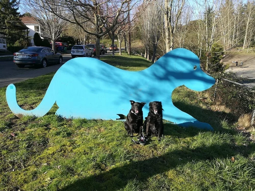 Blue Dog Pond, photo 2