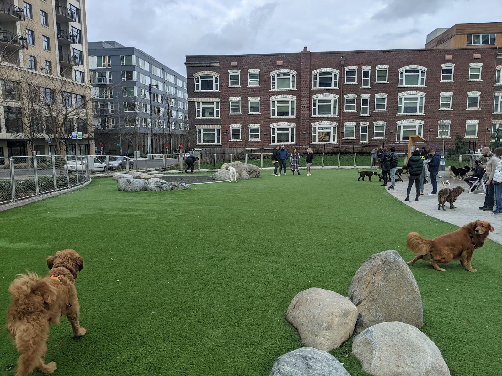 Denny Substation Dog Park