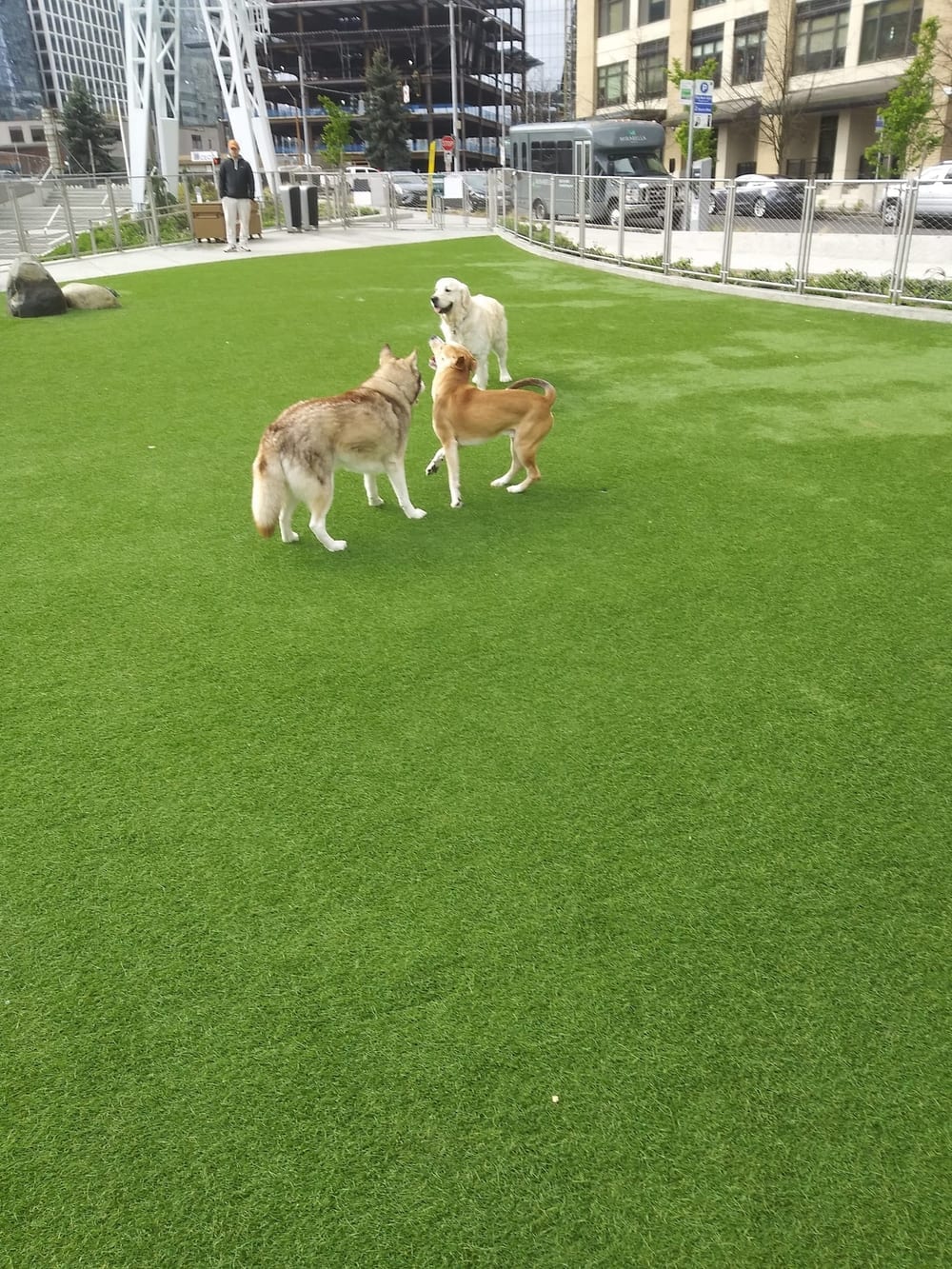 Denny Substation Dog Park, photo 3