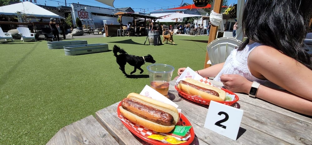 Dog Yard Bar, photo 2