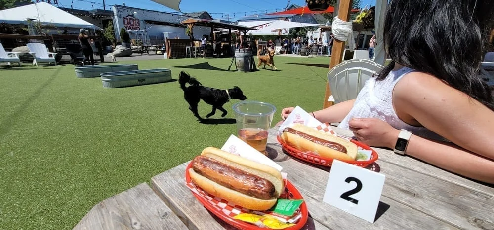 Dog Yard Bar, photo 2