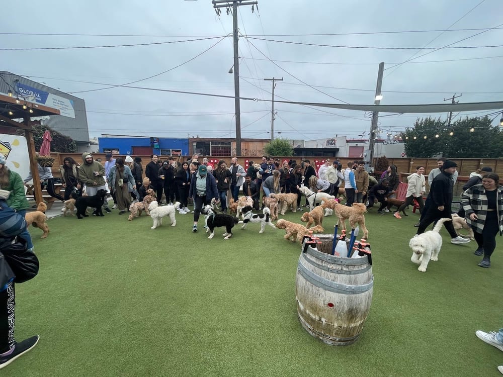 Dog Yard Bar, photo 3