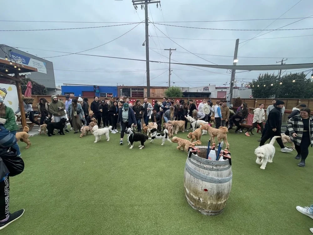 Dog Yard Bar, photo 3