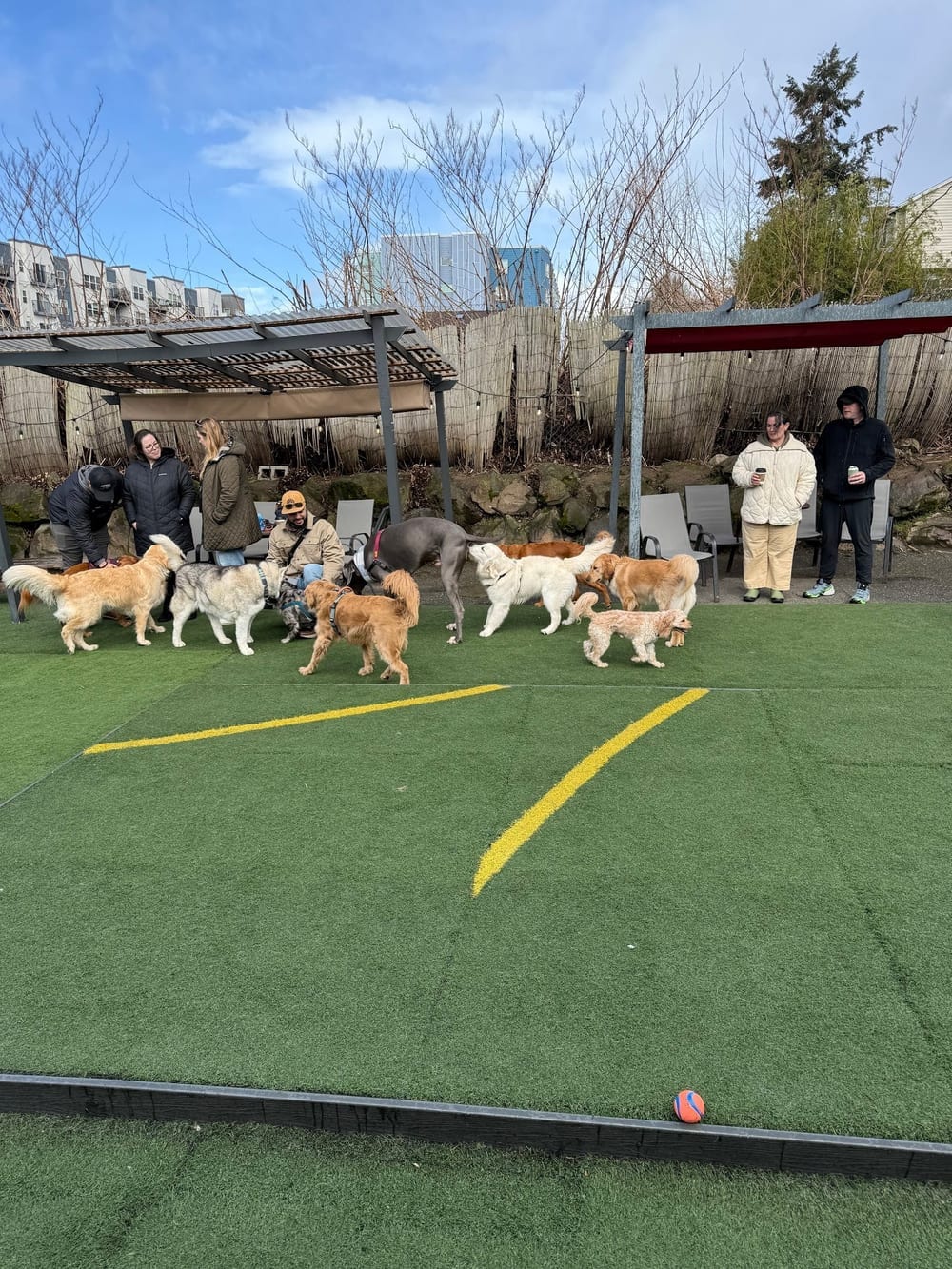 Dogwood Play Park, photo 3