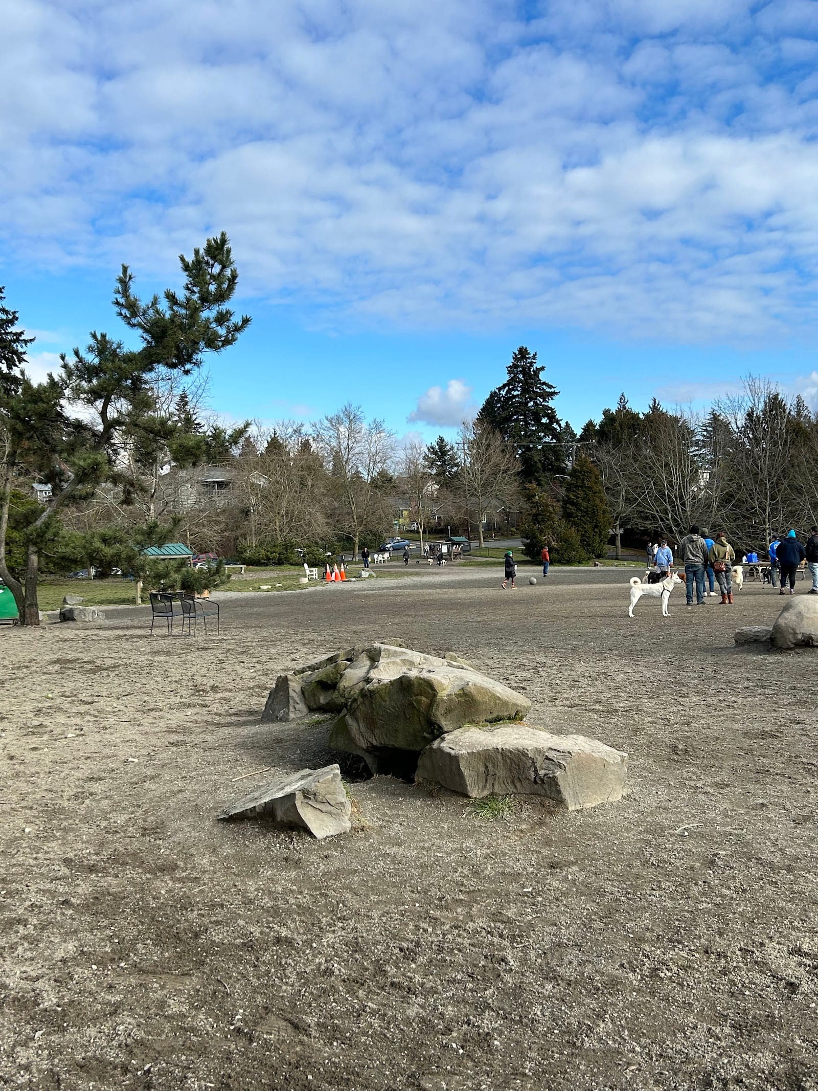 Genesee Dog Park