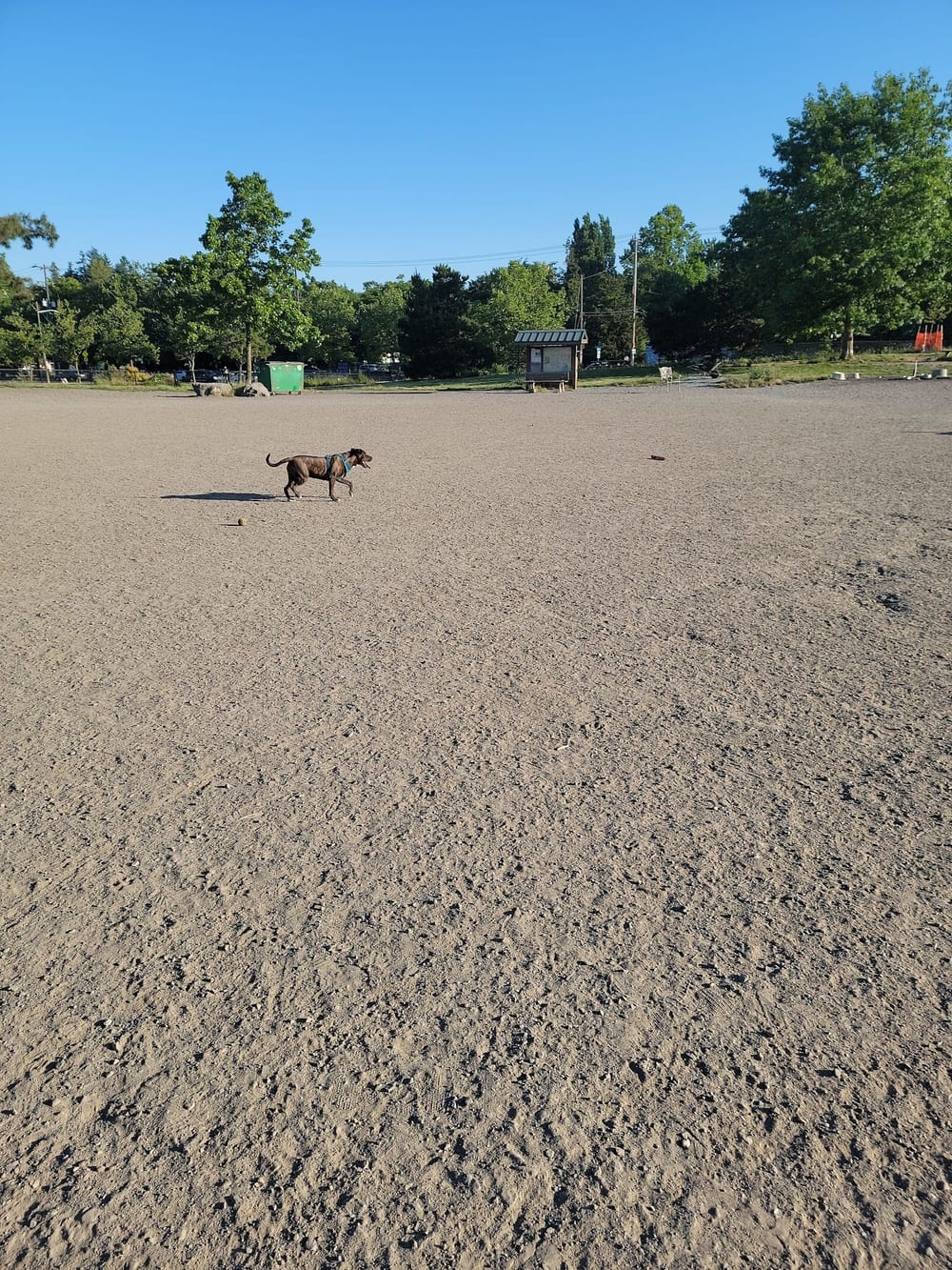 Genesee Dog Park, photo 2