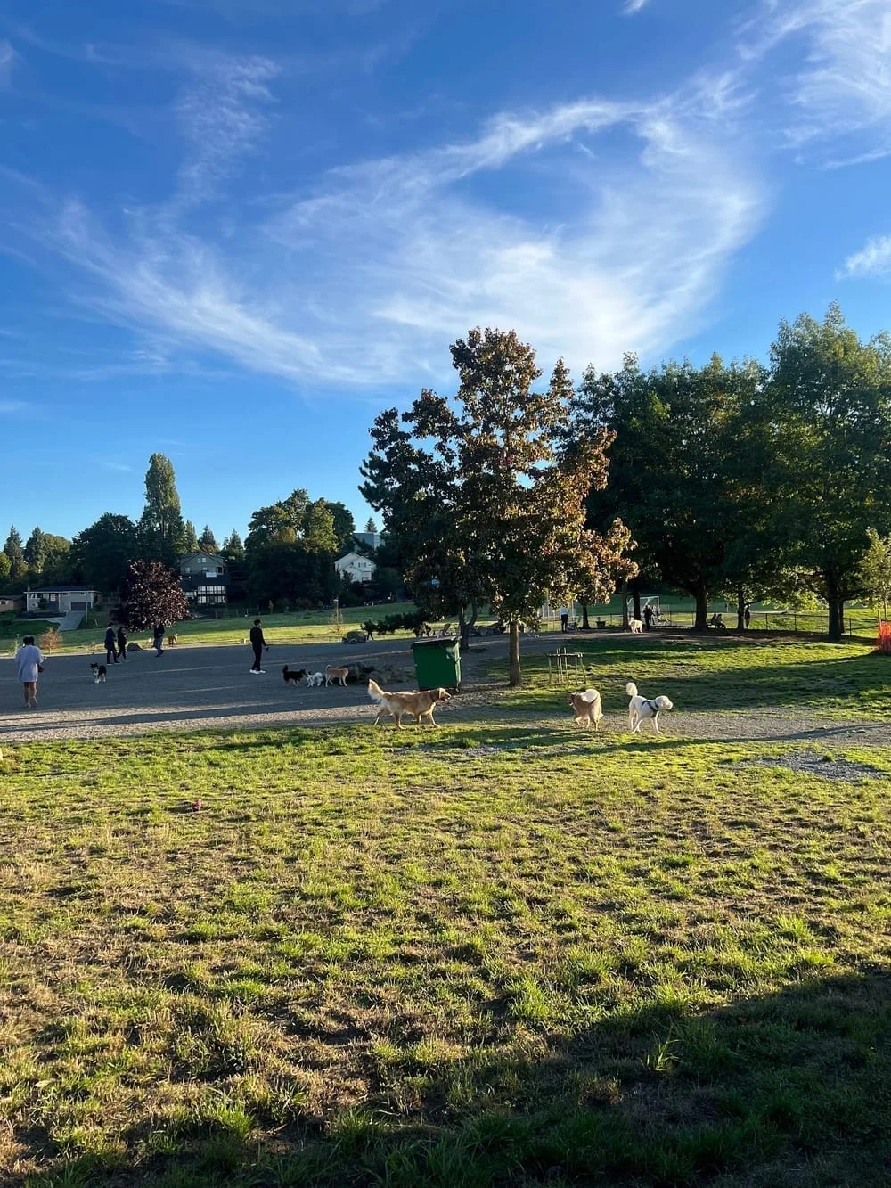 Genesee Dog Park, photo 3