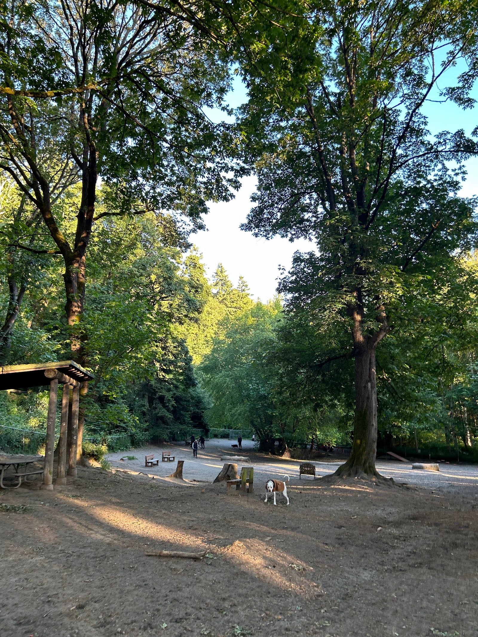 Golden Gardens Off Leash Area