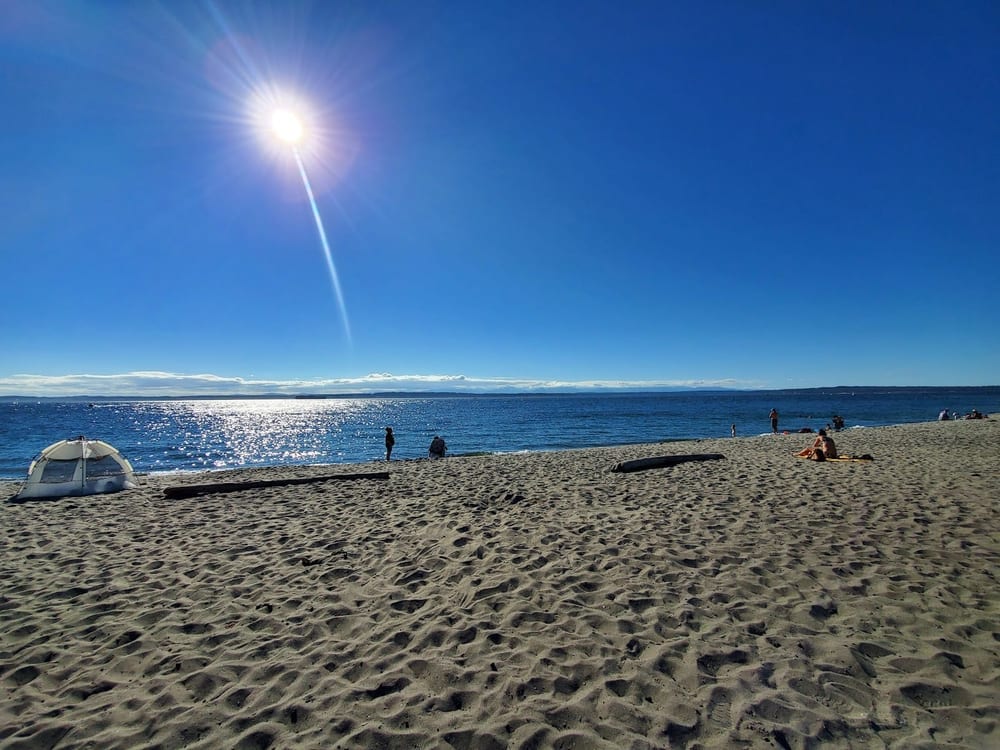 Golden Gardens Off Leash Area, photo 3