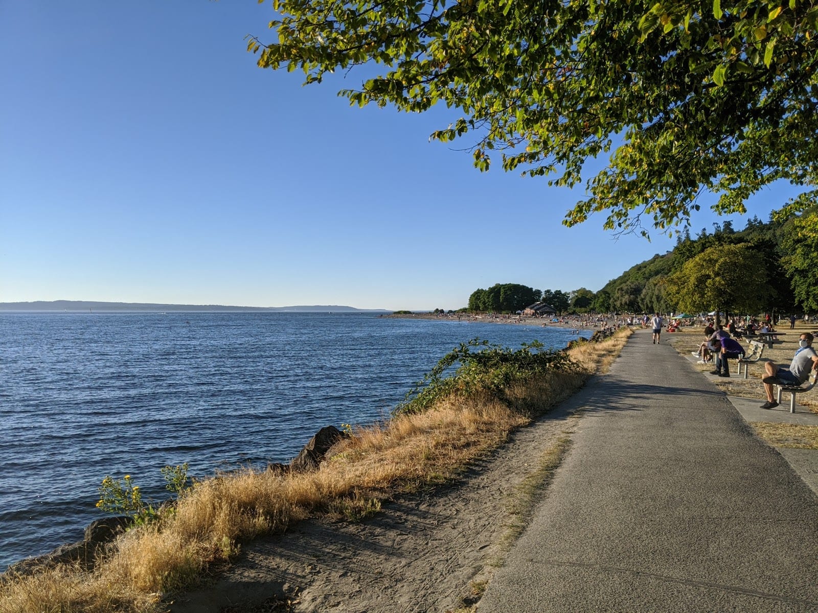Golden Gardens Park