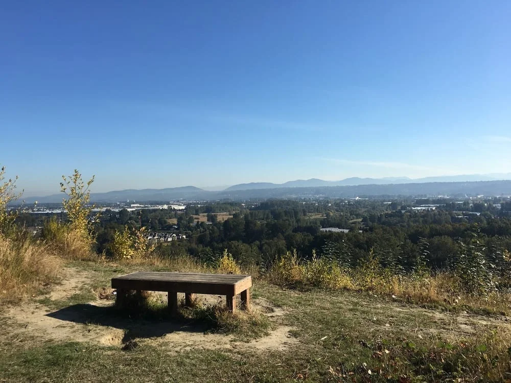 Grandview Off-Leash Dog Park, photo 3