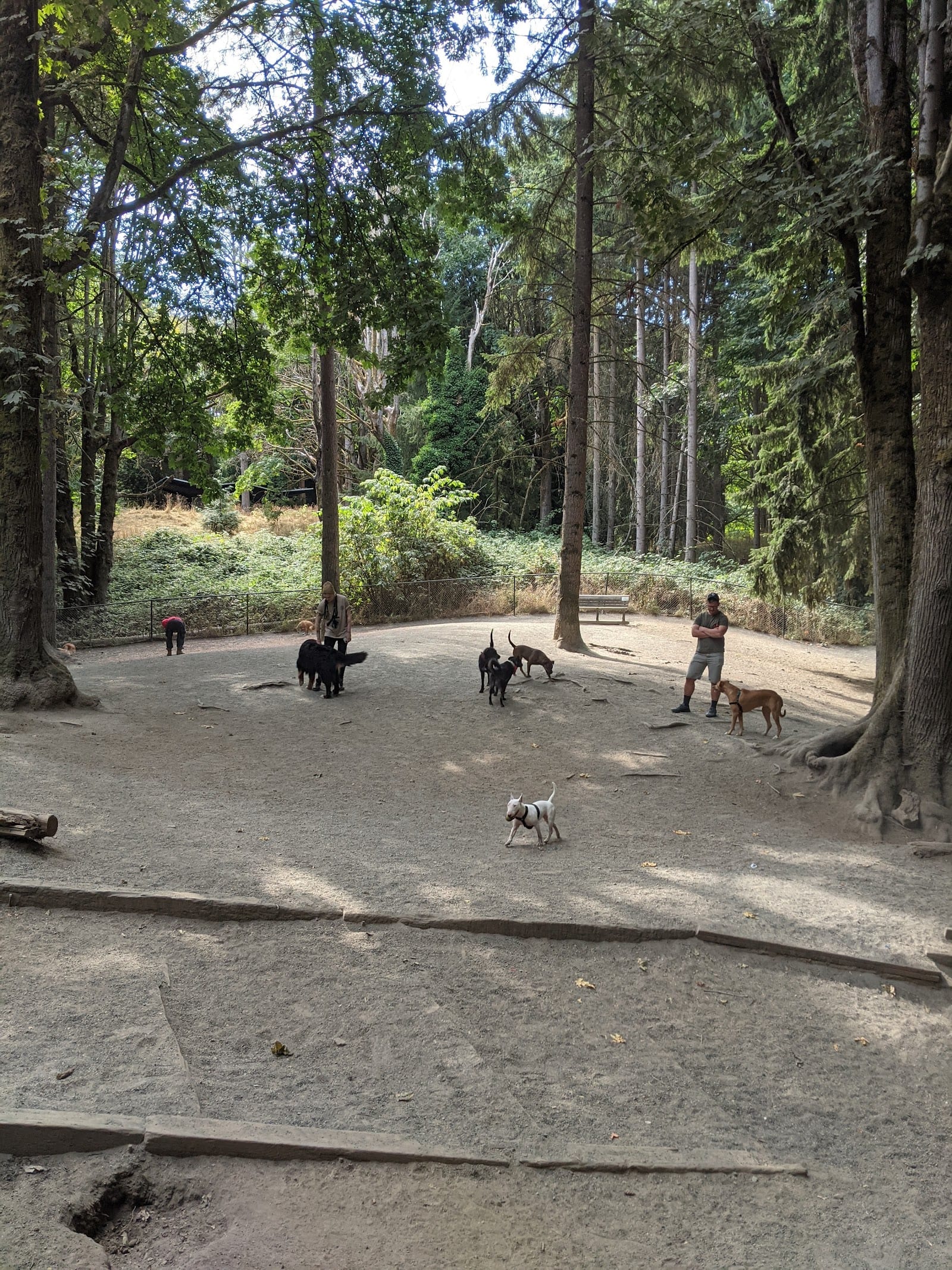 Lower Woodland Dog Park Off Leash Area