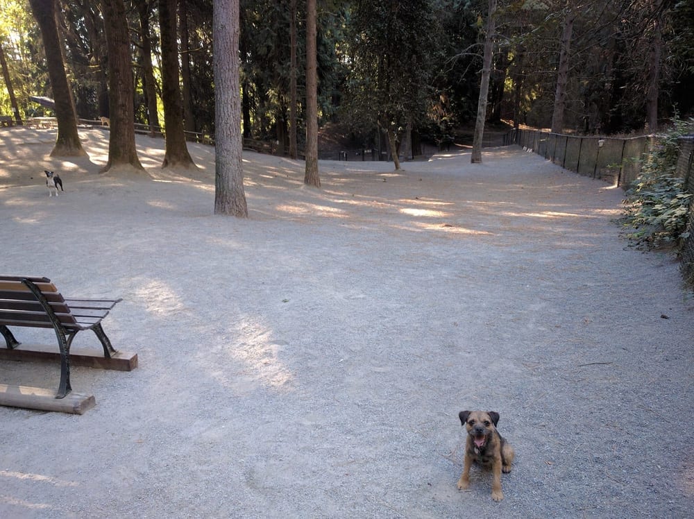 Lower Woodland Dog Park Off Leash Area, photo 2