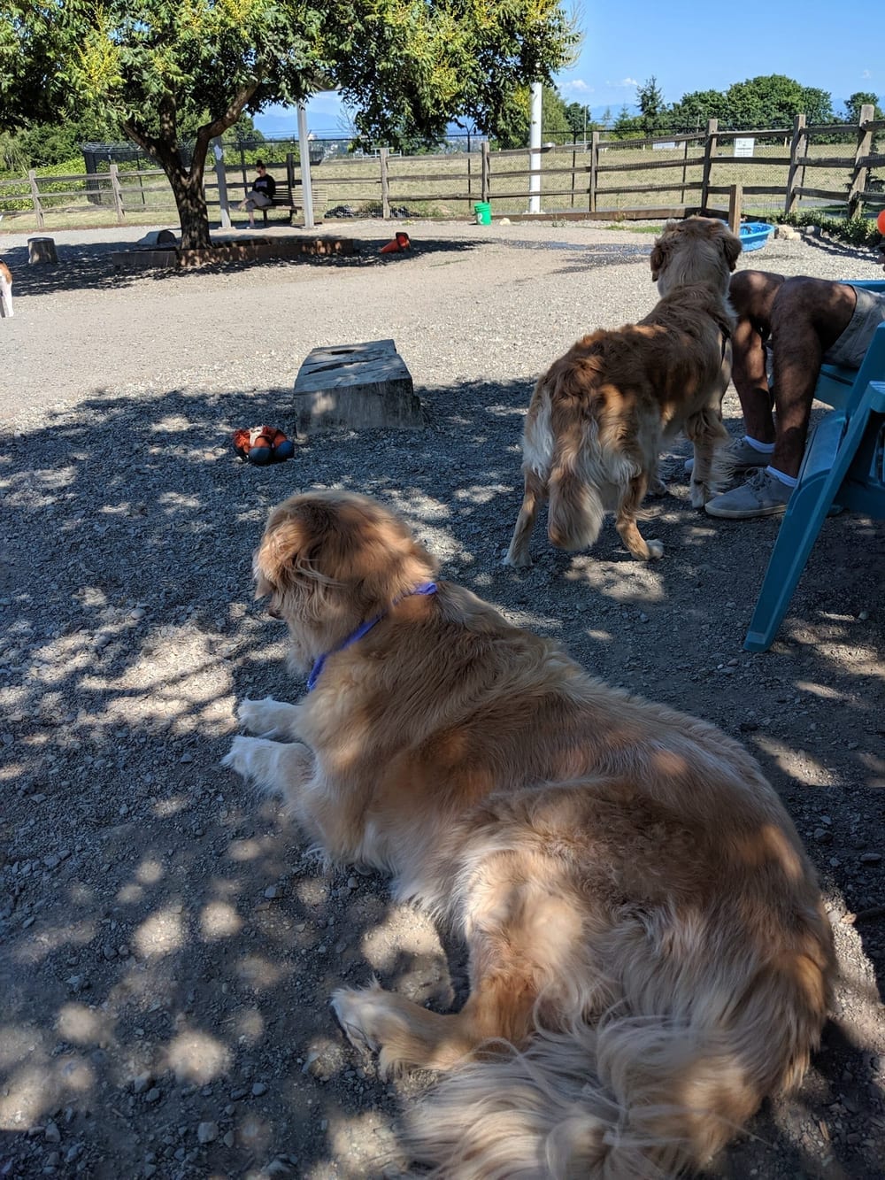 Magnolia Manor Park, photo 3