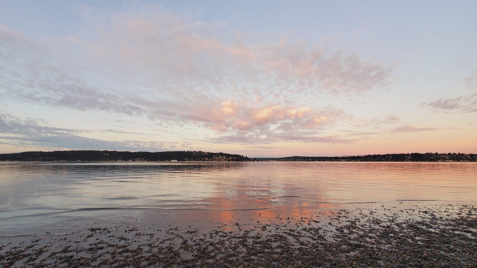Magnuson Park Off Leash Dog Beach