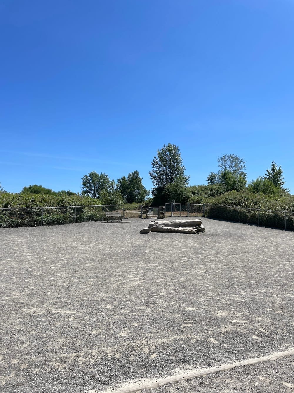 Warren G. Magnuson Park Off Leash Area, photo 3