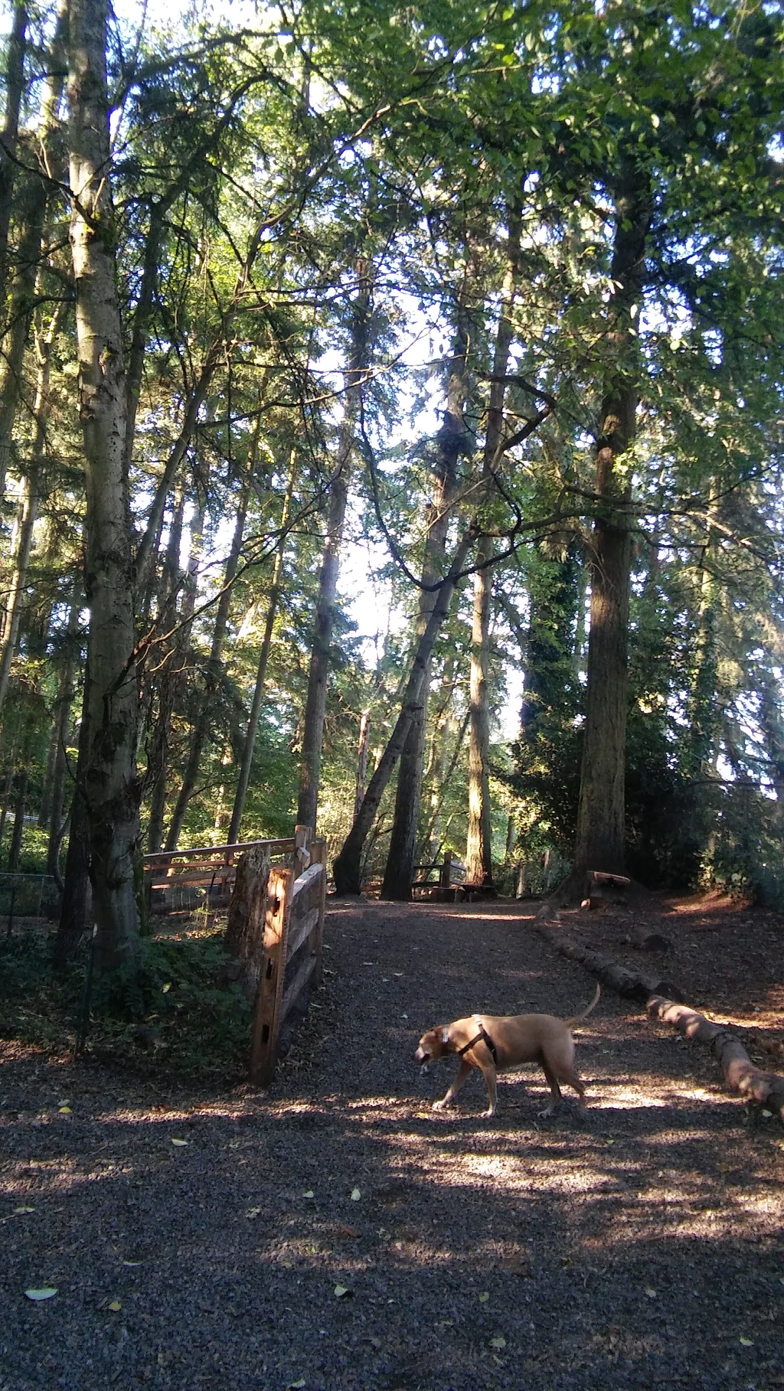 Northacres Off-Leash Dog Area