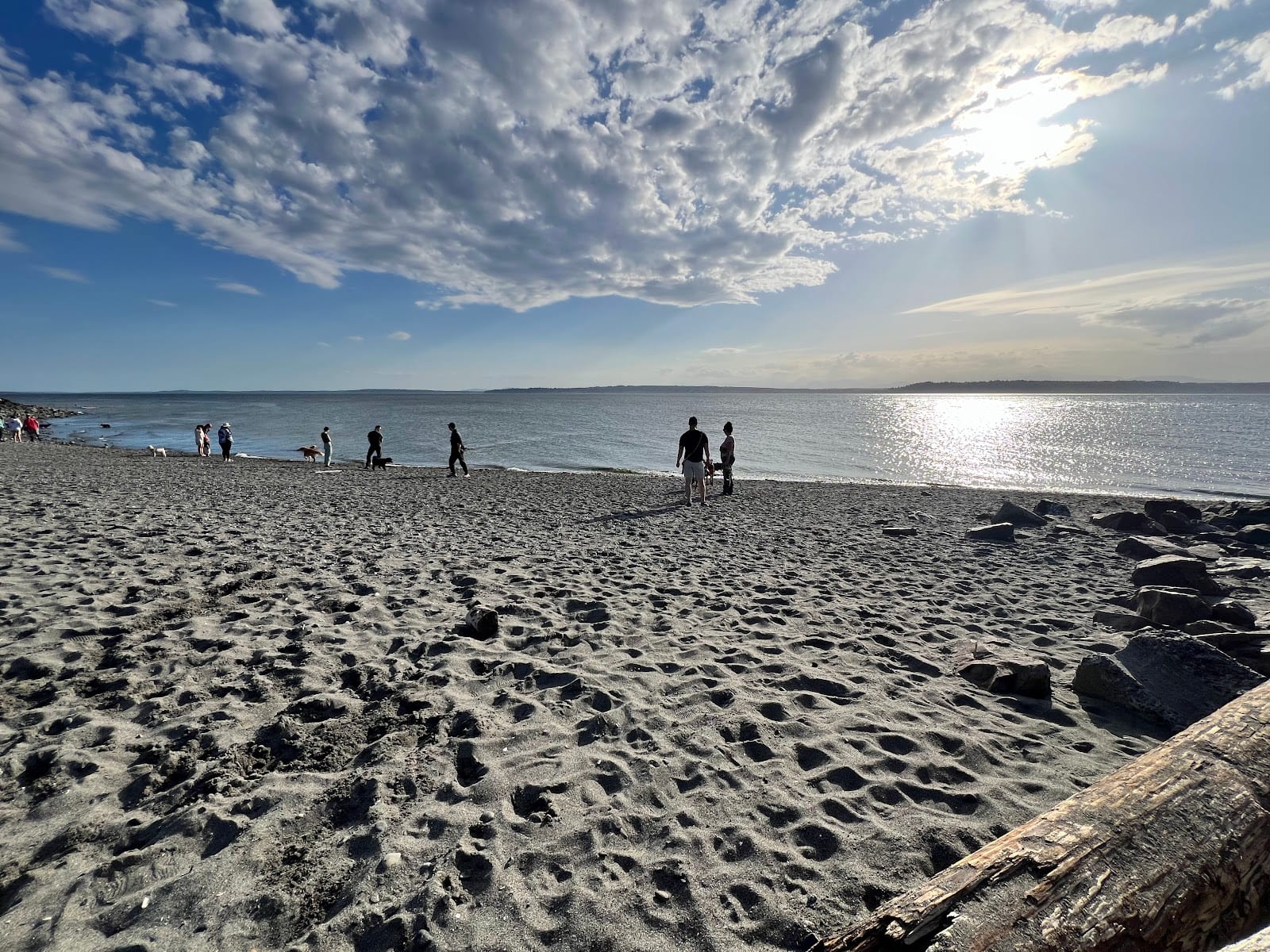 Off Leash Area Edmonds
