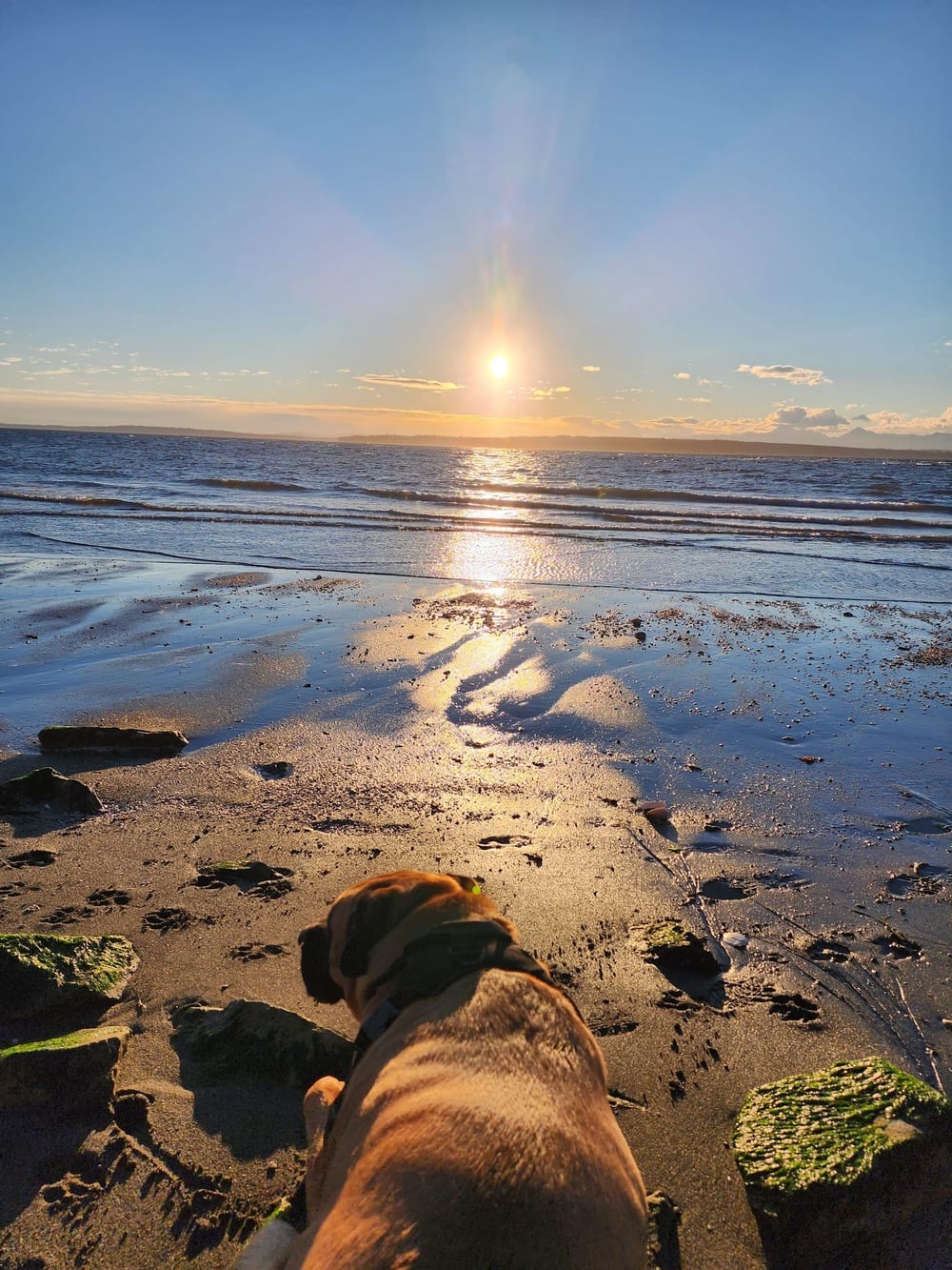 Off Leash Area Edmonds, photo 3