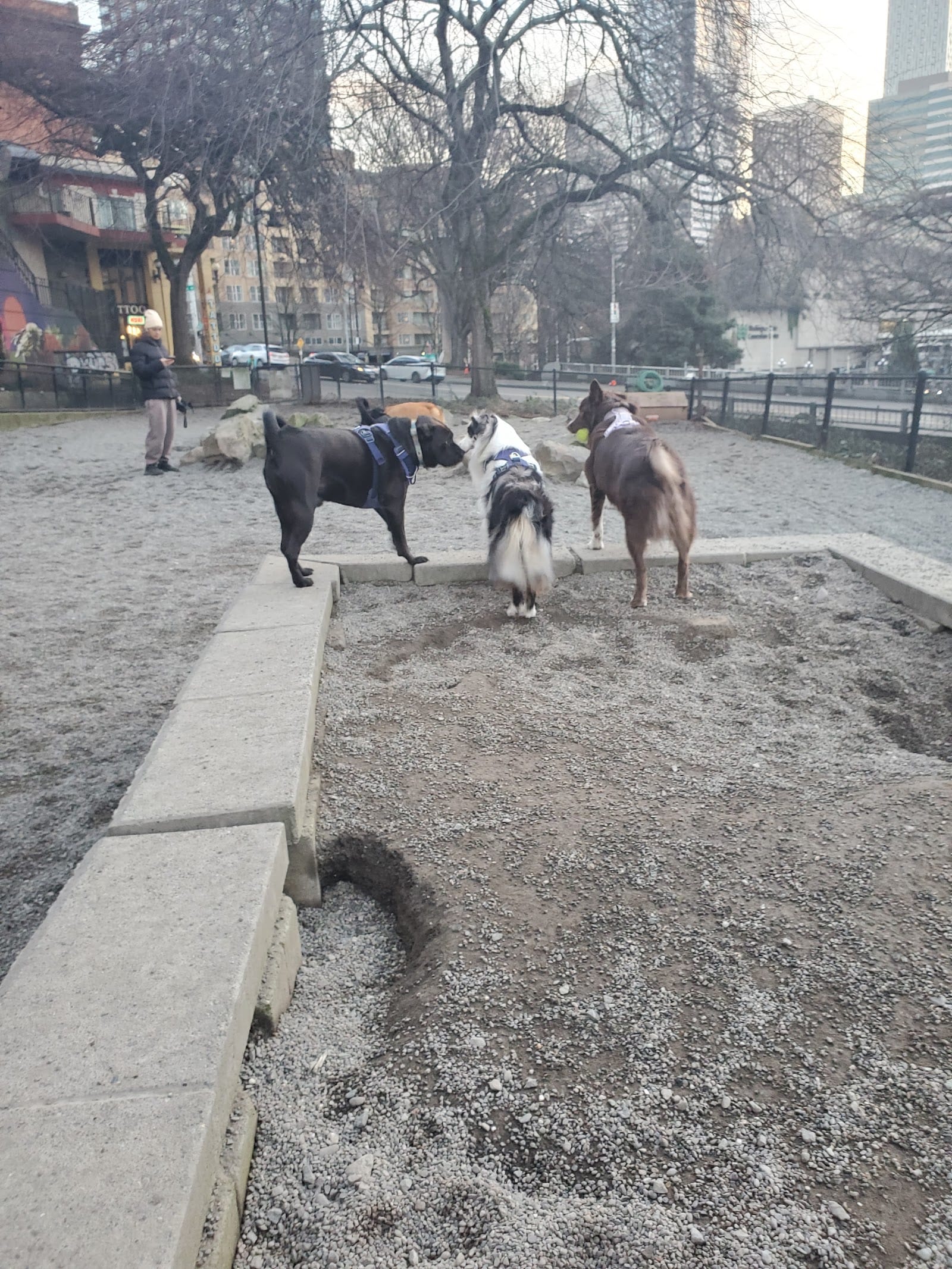 Plymouth Pillars Dog Park