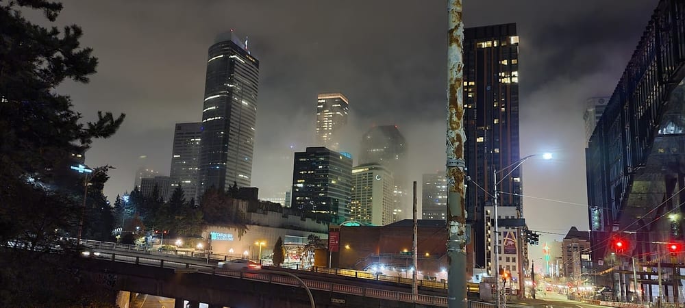 Plymouth Pillars Dog Park, photo 2