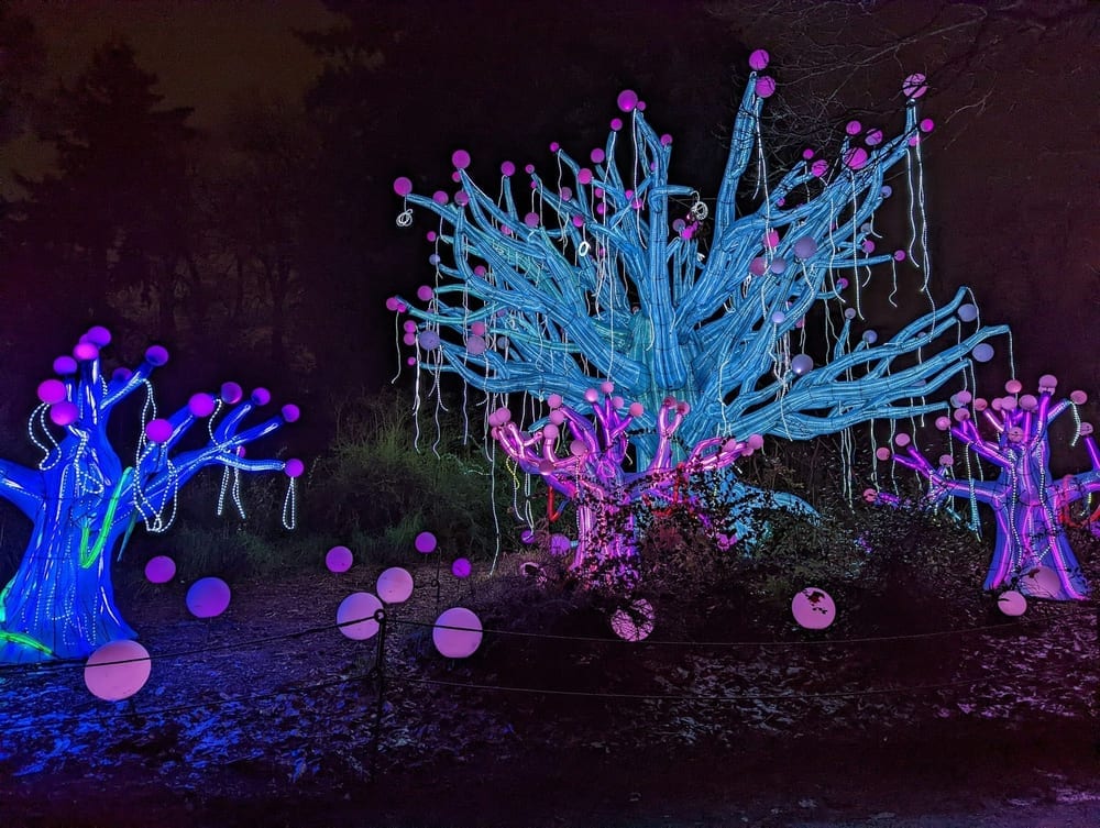 Woodland Park, photo 2