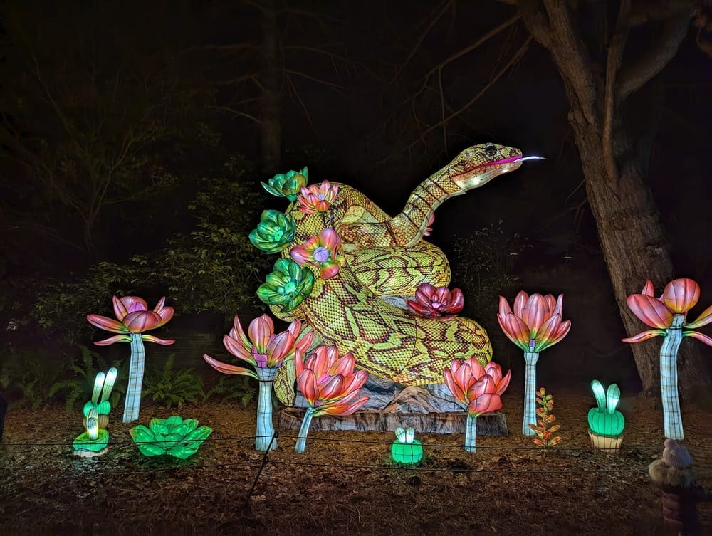 Woodland Park, photo 3