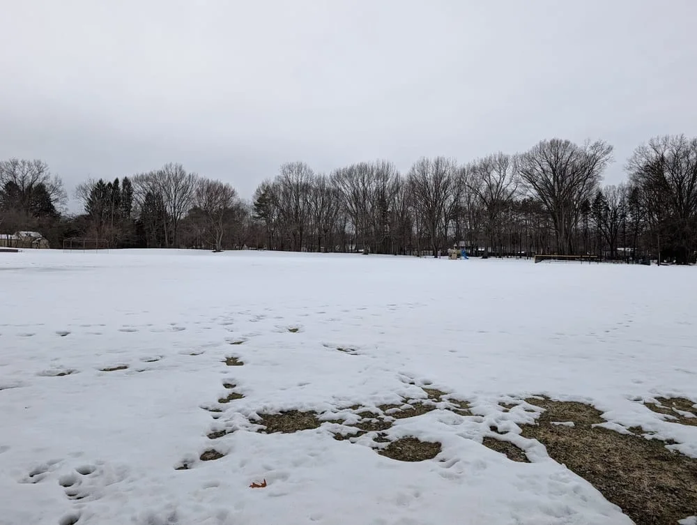 Dog Park at Heritage Park, photo 3