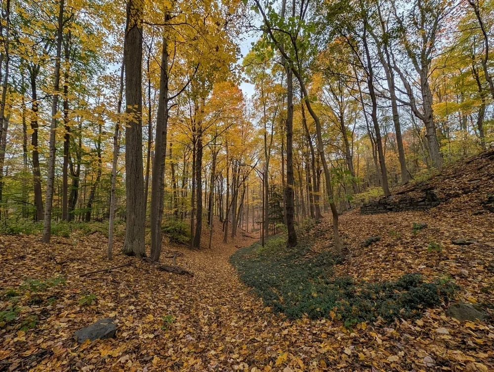 Elmwood Park, photo 3