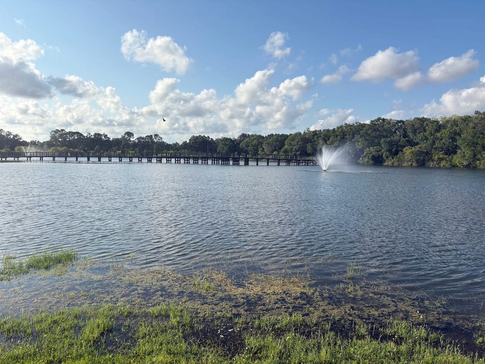 Carrollwood Village Dog Park, photo 2