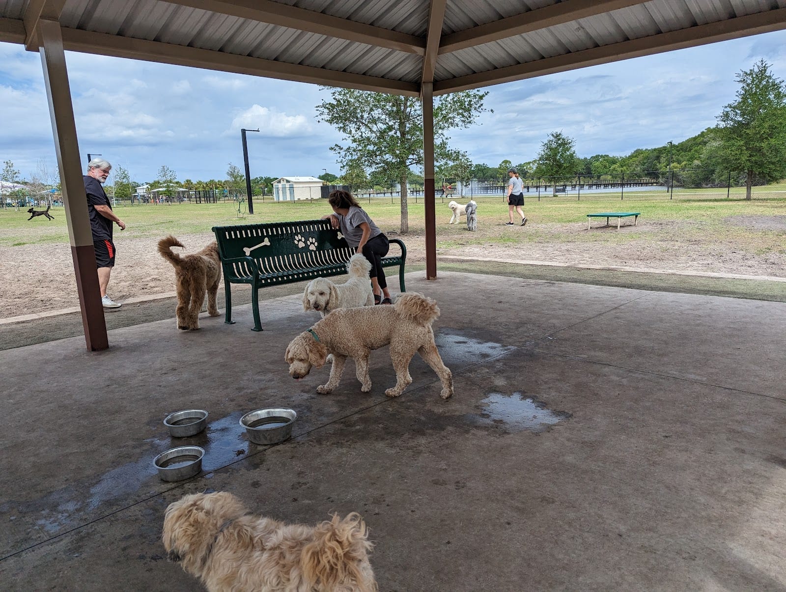 Carrollwood Village Dog Park