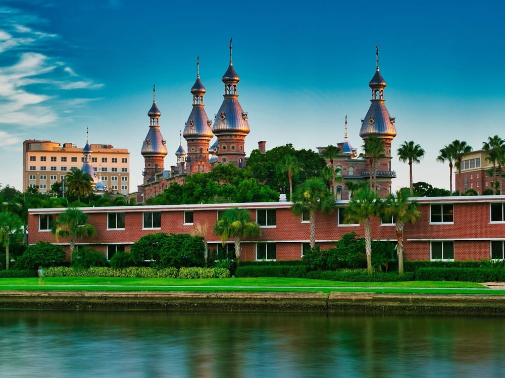 Curtis Hixon Waterfront Park Dog Park, photo 2