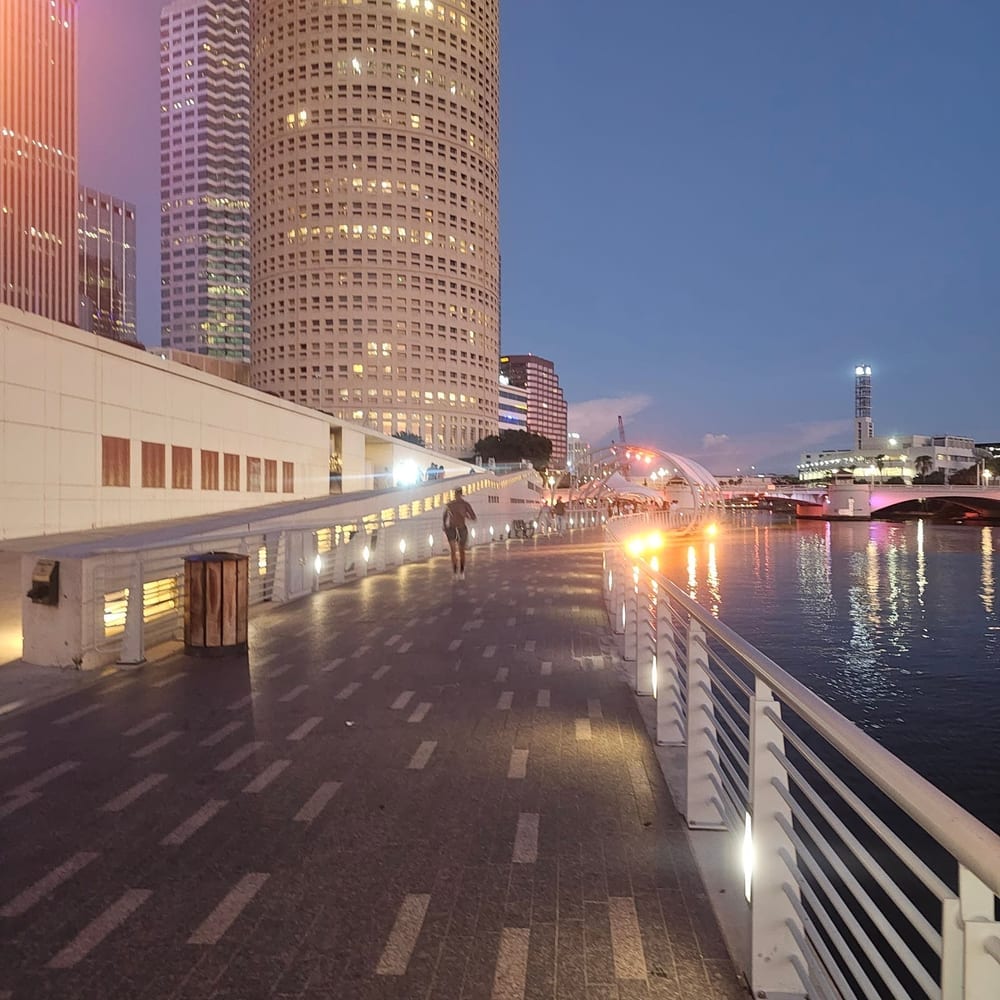 Curtis Hixon Waterfront Park Dog Park, photo 3