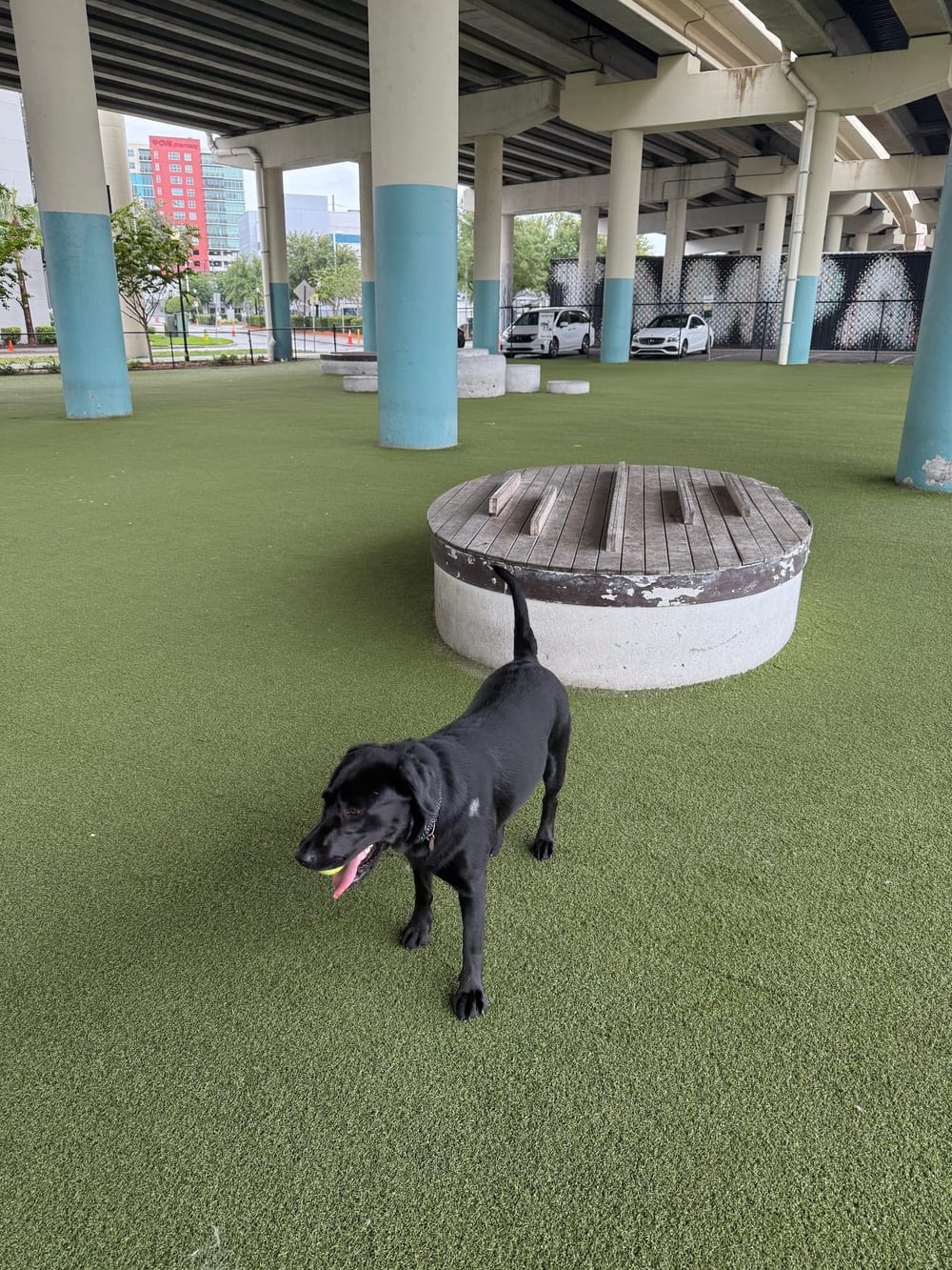 Deputy Kotfila Memorial Dog Park, photo 2