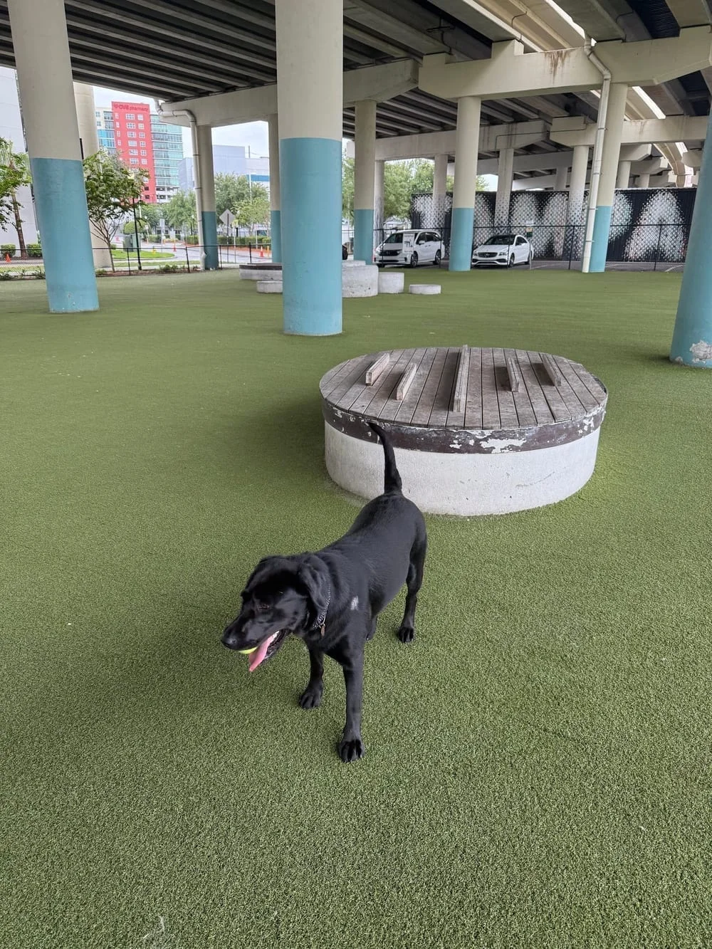 Deputy Kotfila Memorial Dog Park, photo 2