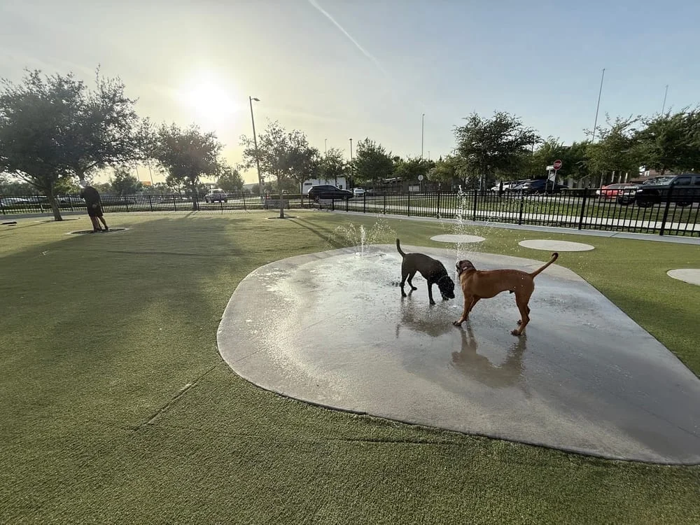 Dog Parks at Julian B. Lane Riverfront Park, photo 3