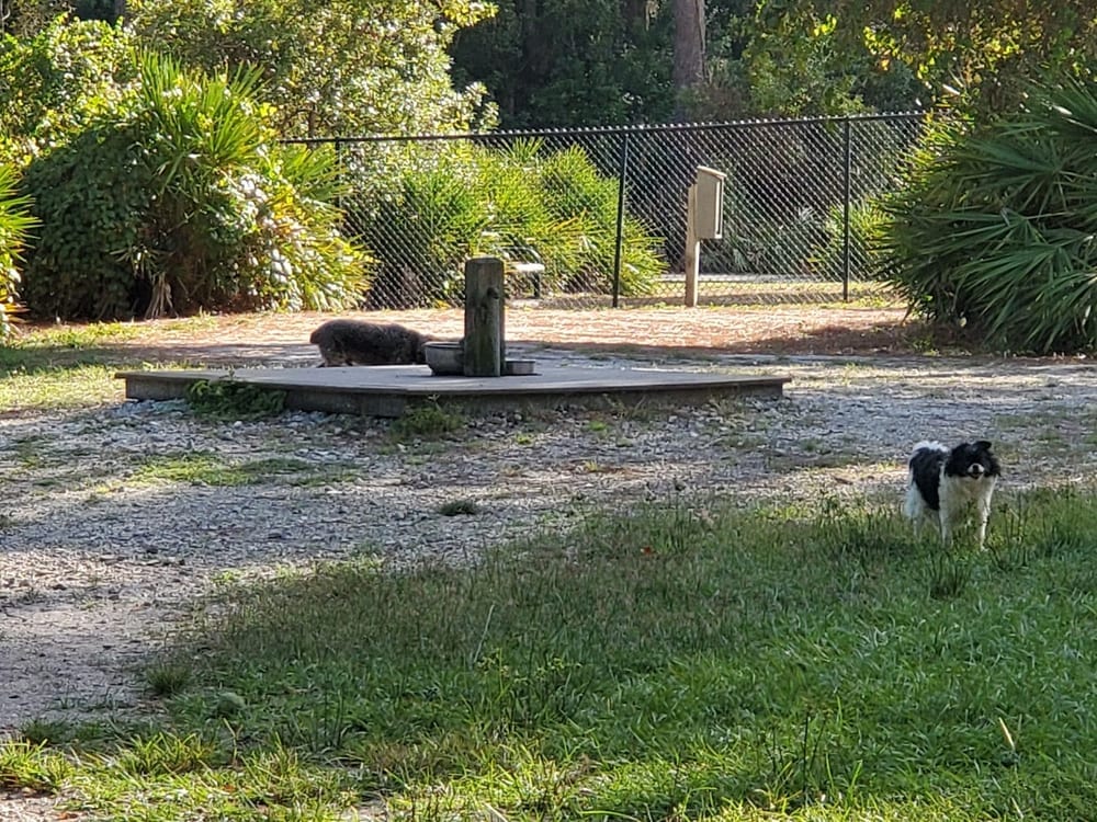 Enterprise Dog Park, photo 2