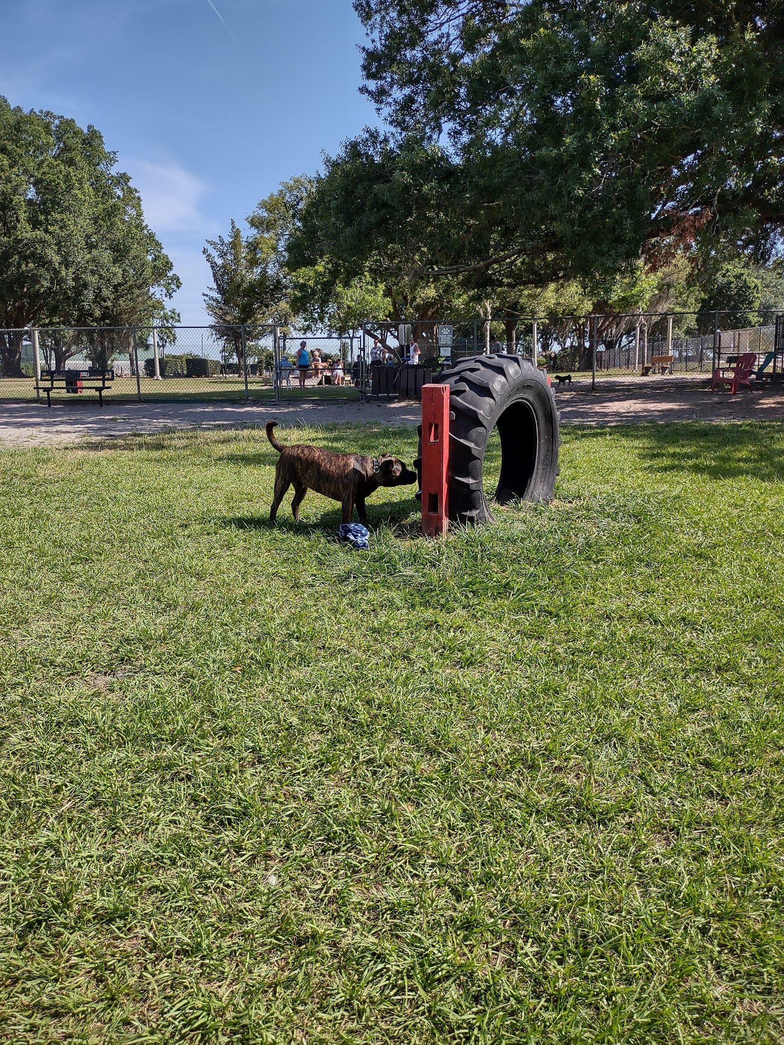 Land O' Lakes Recreation Complex :Dog Park