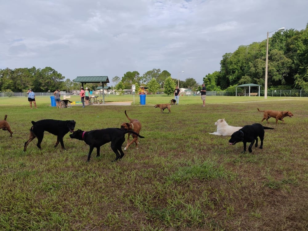 Logan Gate Dog Park, photo 2