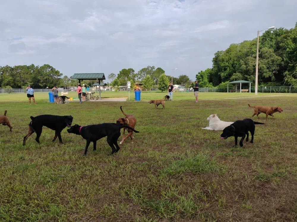 Logan Gate Dog Park, photo 2