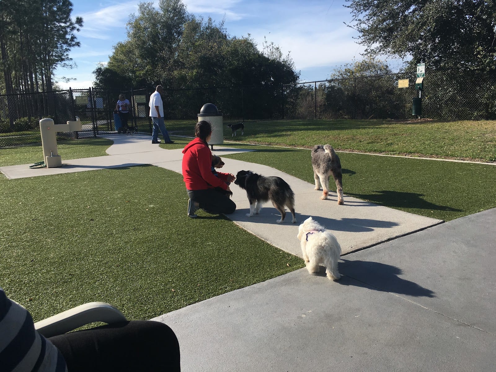 Northwest County Dog Park