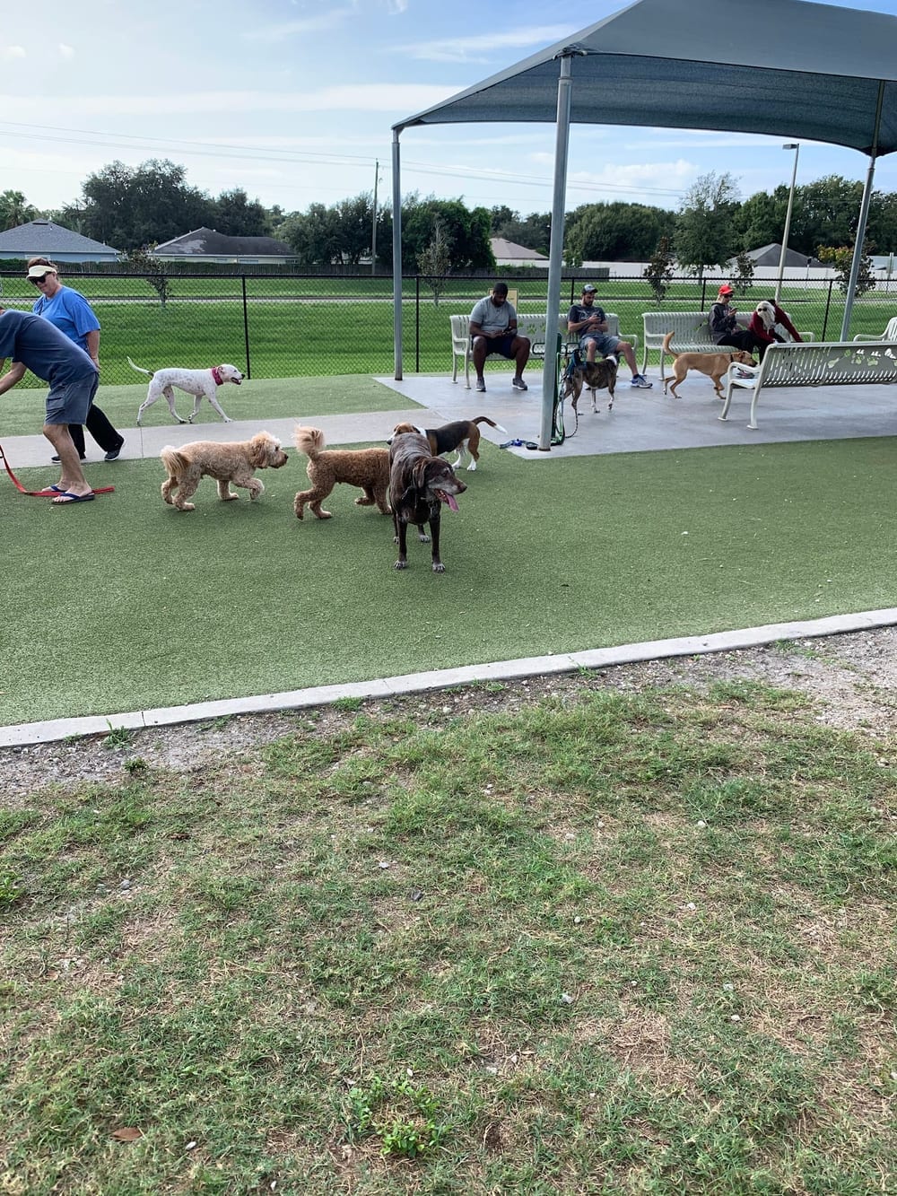 Northwest County Dog Park, photo 2