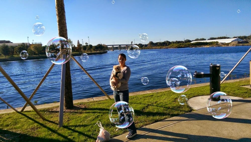 Queenie's Dog Park, photo 3