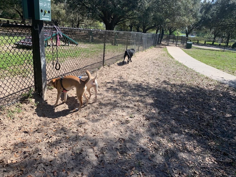 Rowlett Dog Park, photo 2