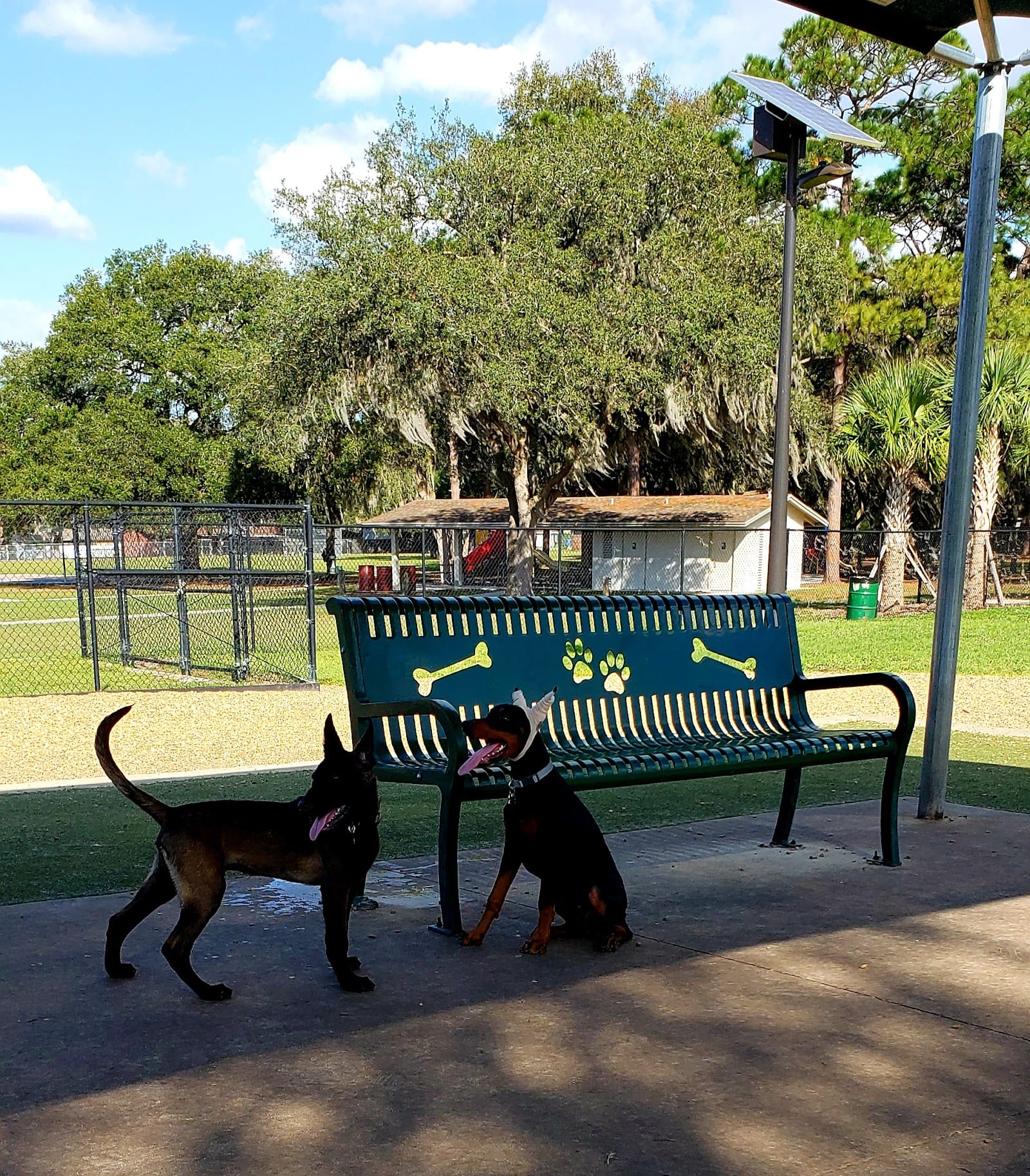 Saladino Dog Park