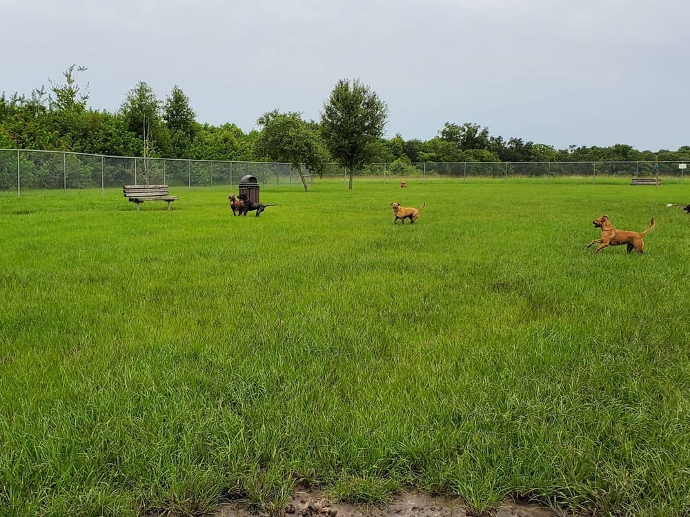 Temple Terrace Hilltop Dog Park, photo 2