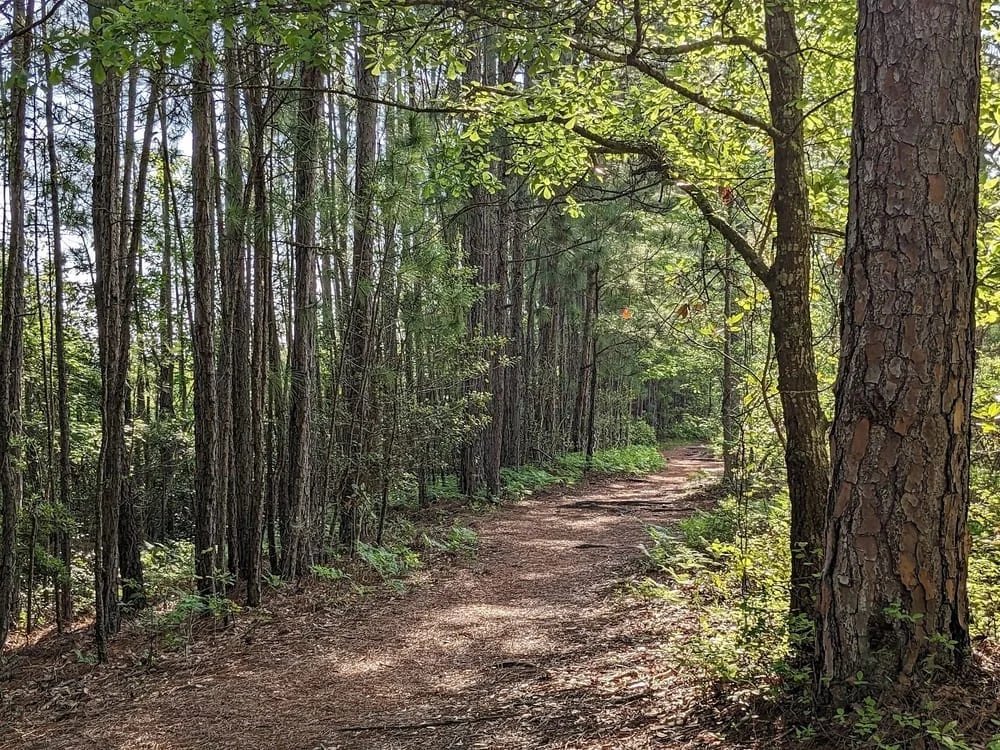 Smith Creek Park, photo 3